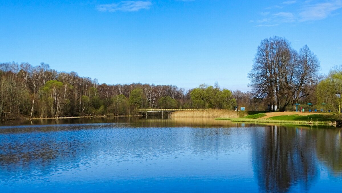 Весна на Смоленщине. - Милешкин Владимир Алексеевич 
