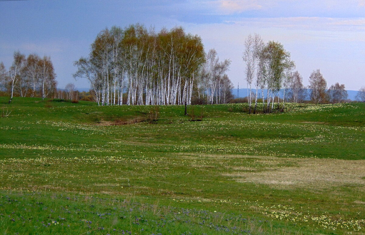 Такой бывает весна. - nadyasilyuk Вознюк