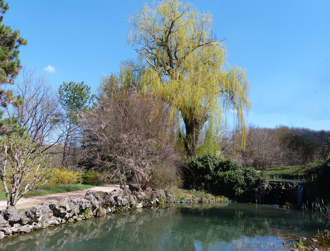 Весенний  пейзаж - Валентин Семчишин