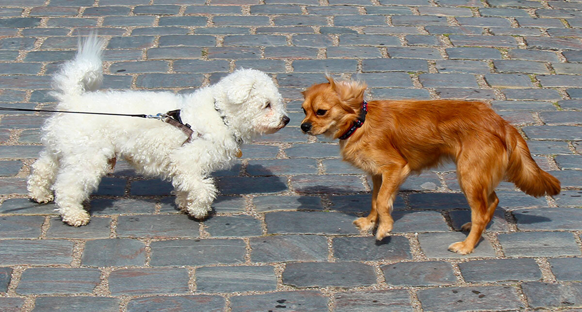 Знакомство - Сергей Сомихин