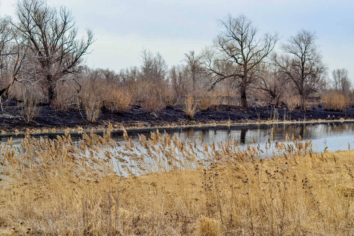 Апрельский пейзаж. - Михаил К