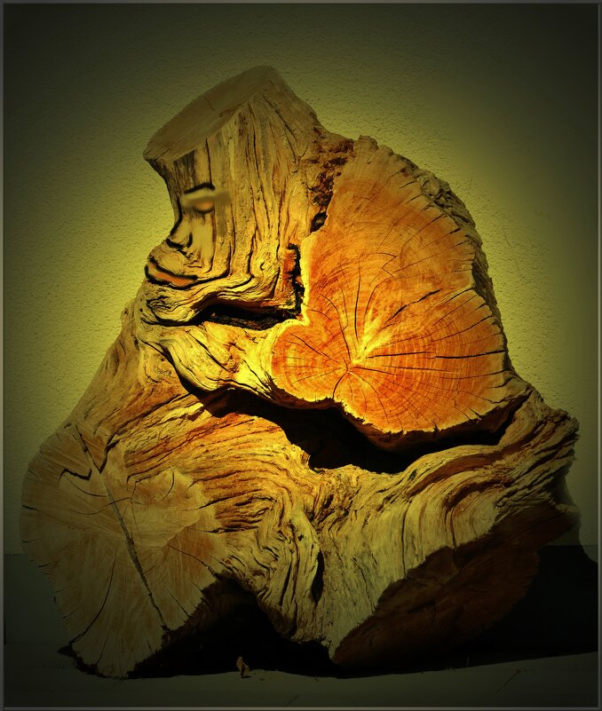 СТАРЫЙ ПЕНЬ... - Elvira E. 