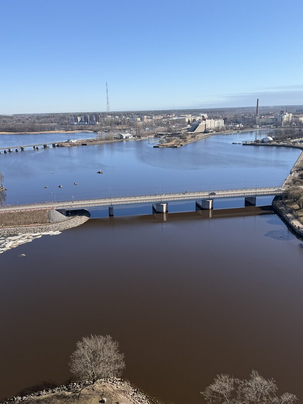 Выборг - Ирэн 