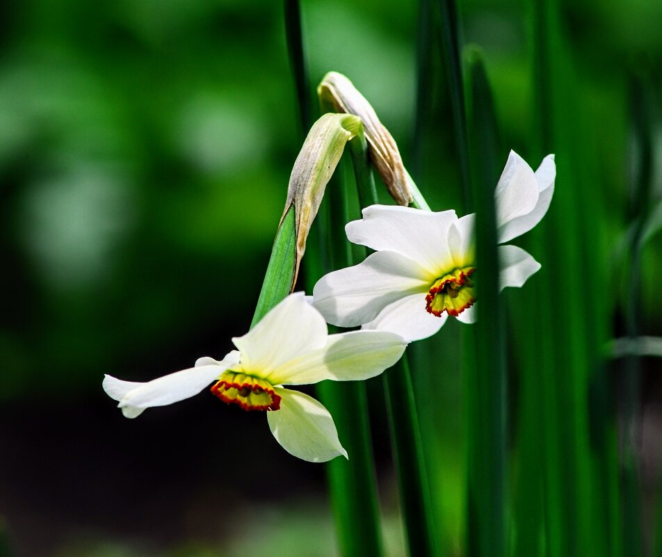 Весеннее. - Владимир 