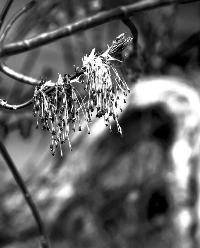 *** - Николай 