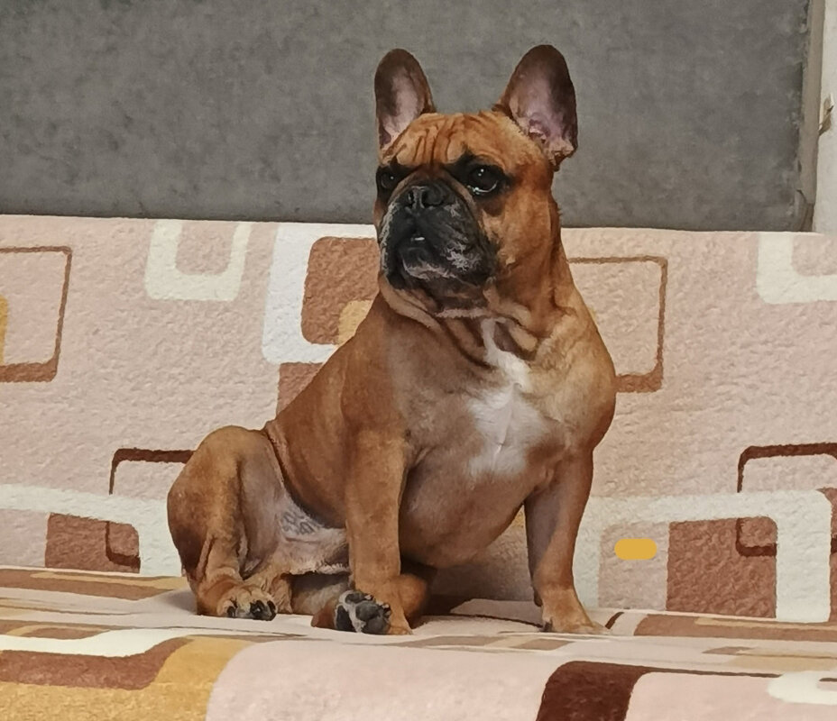 *** - Андрей Л. В.