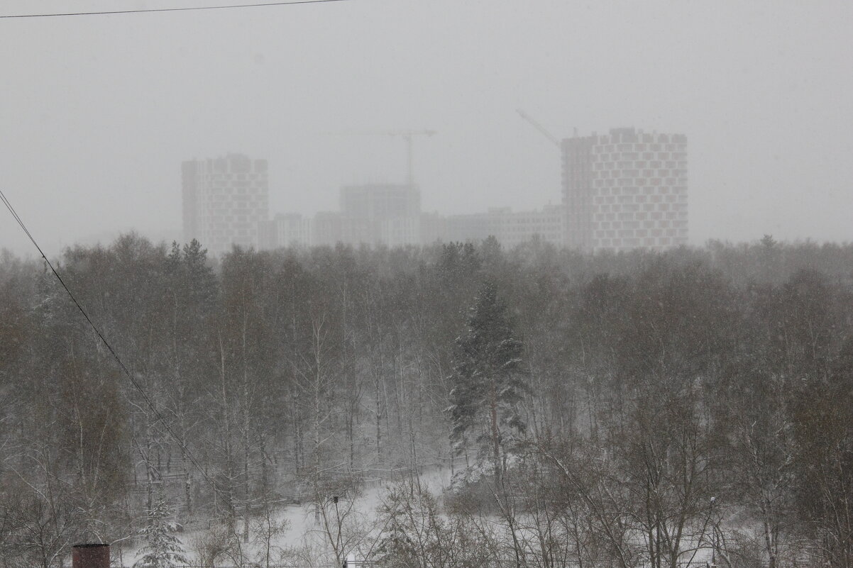 За снежной пеленой - Евгений Корьевщиков