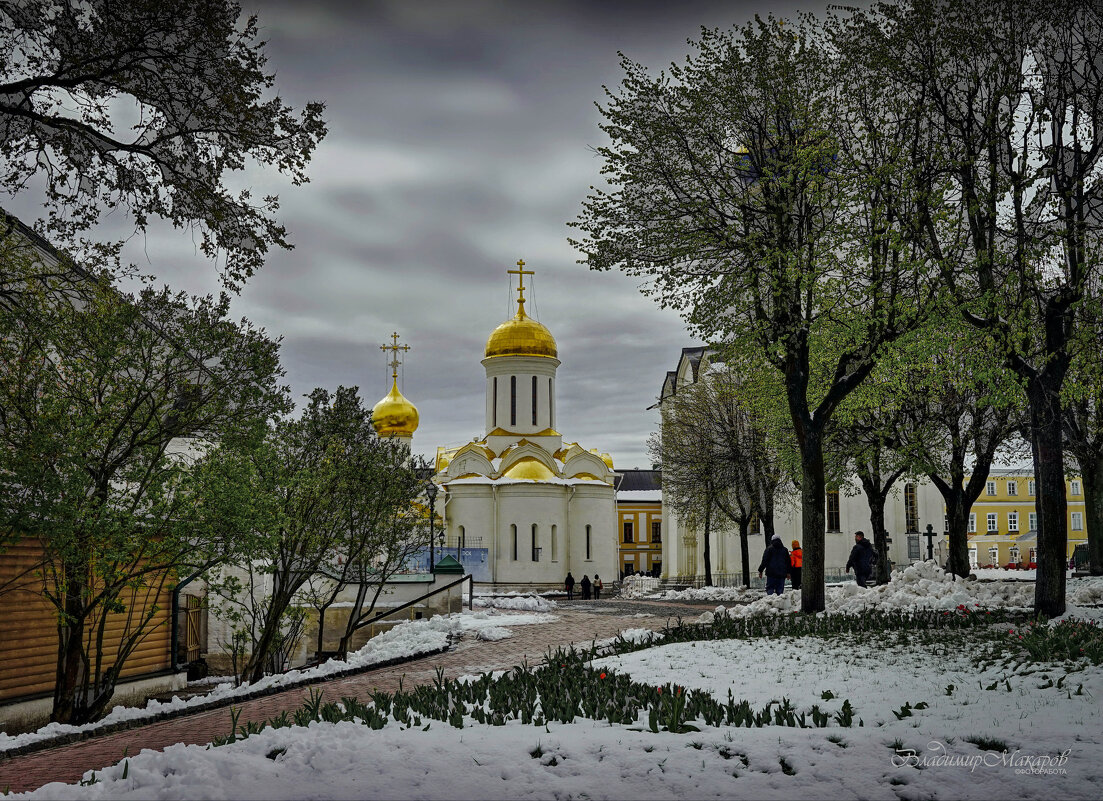 "Весна. Внезапный снег"© - Владимир Макаров