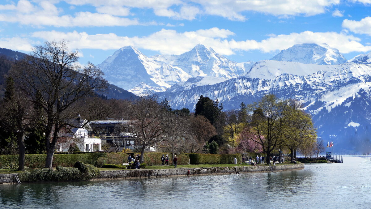 Switzerland - "The Natural World" Александер