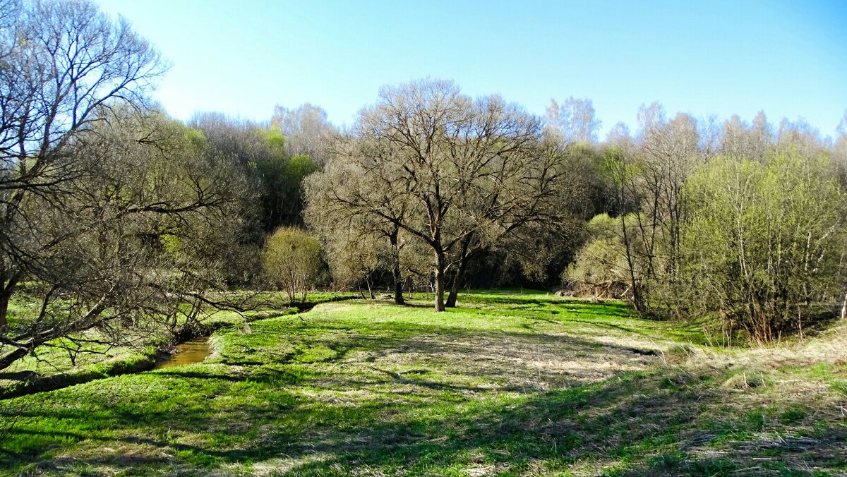 Весенний парк. - Милешкин Владимир Алексеевич 