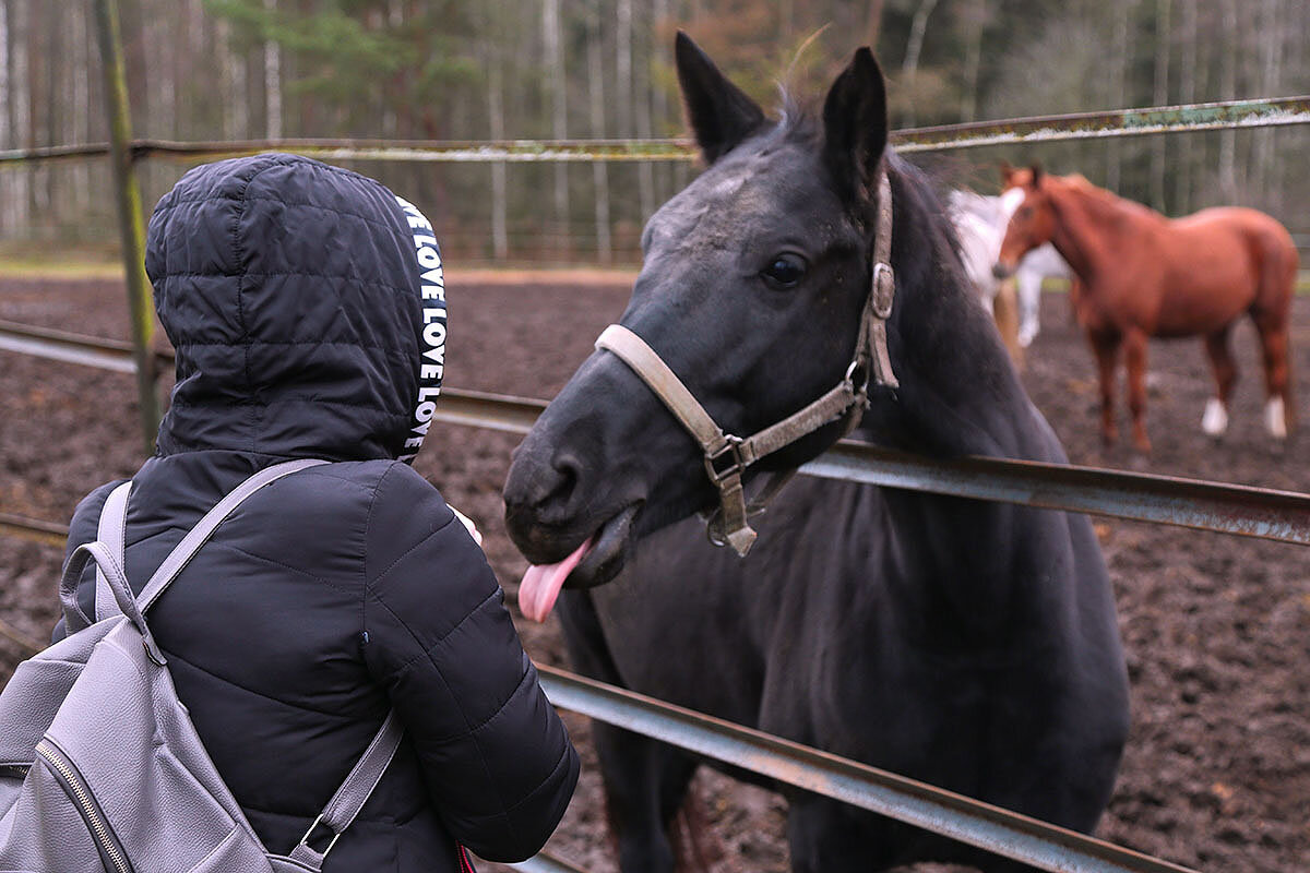 Покажите язык, больной - Сергей Сомихин