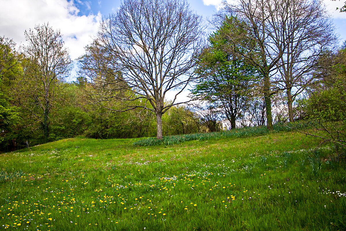 Весенний этюд. - Lucy Schneider 