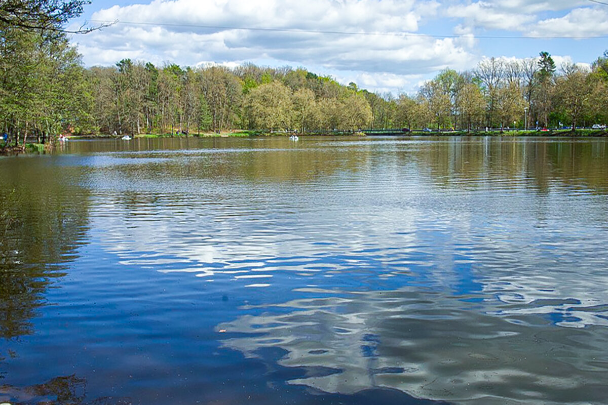 Деревенский пруд. - Lucy Schneider 