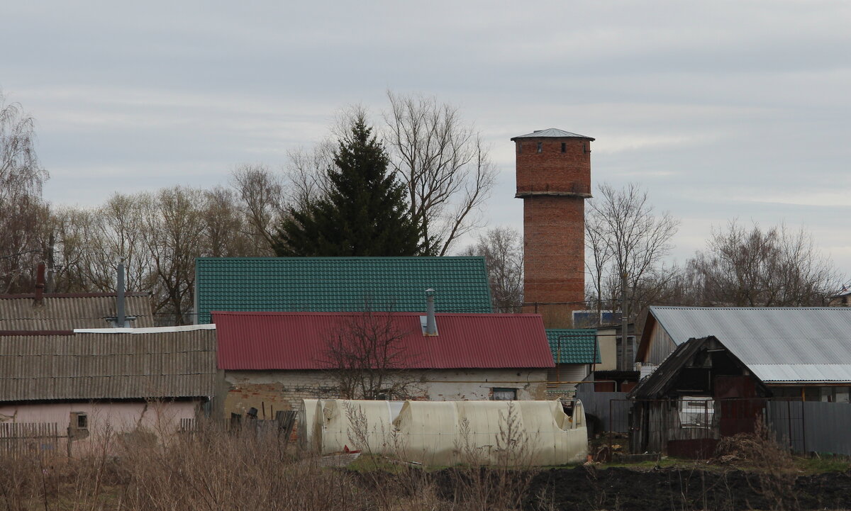 Сельская зарисовка - Елена Минина