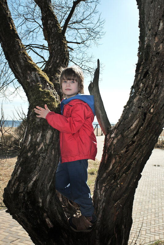 ... - ВЛАДИМИР 