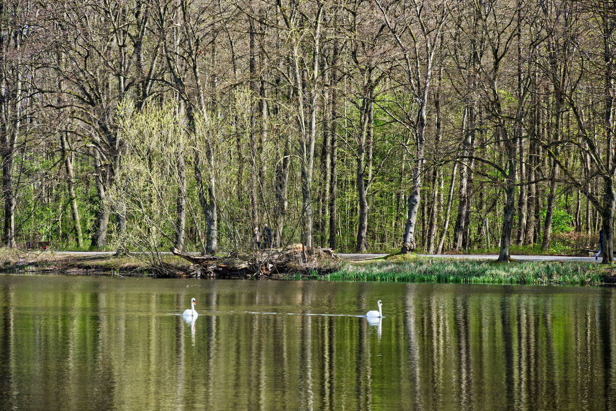 Пруд - Jakob Dick