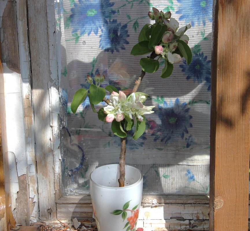 Старое окно - Венера Чуйкова