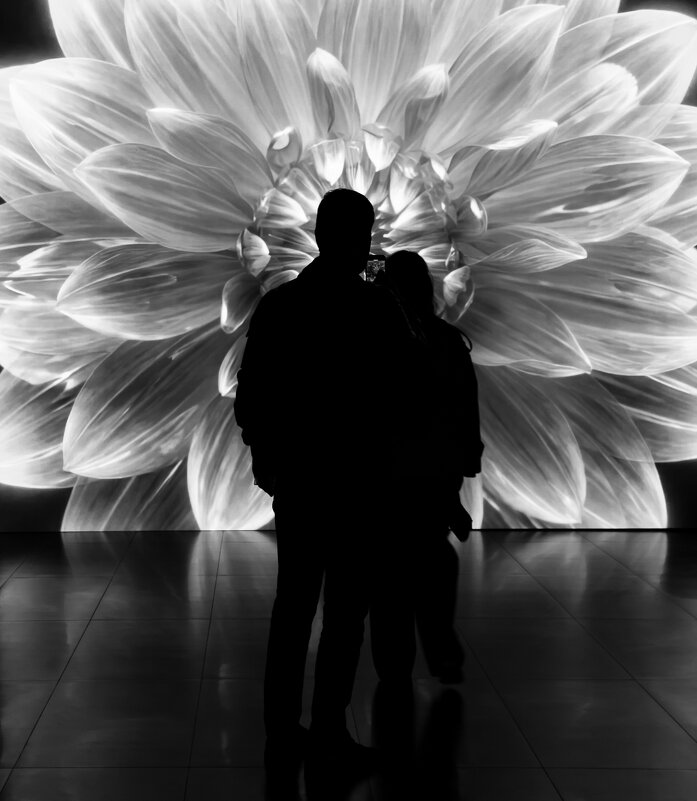 Зачарованные (2) - Игорь Викторов