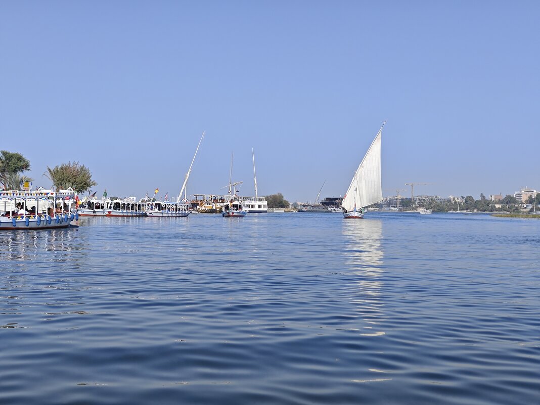 река Нил - Александр 