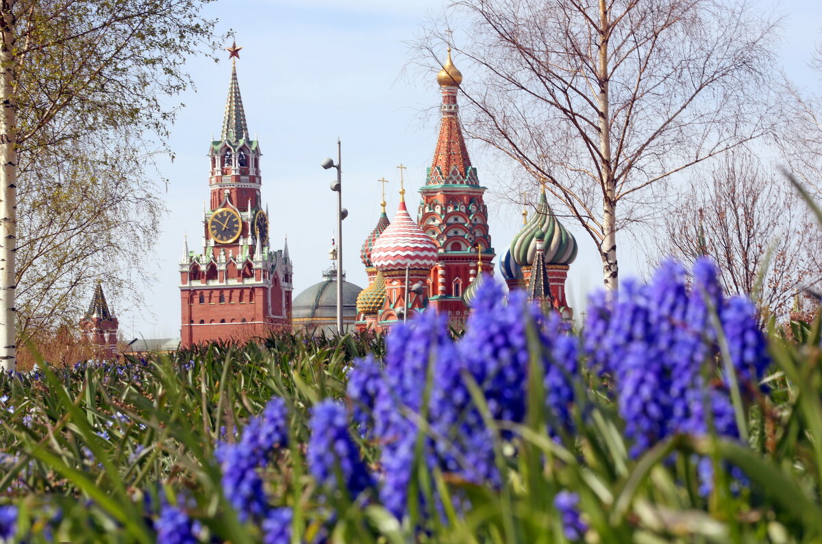 Зарядье 22 апреля - Михаил Бибичков