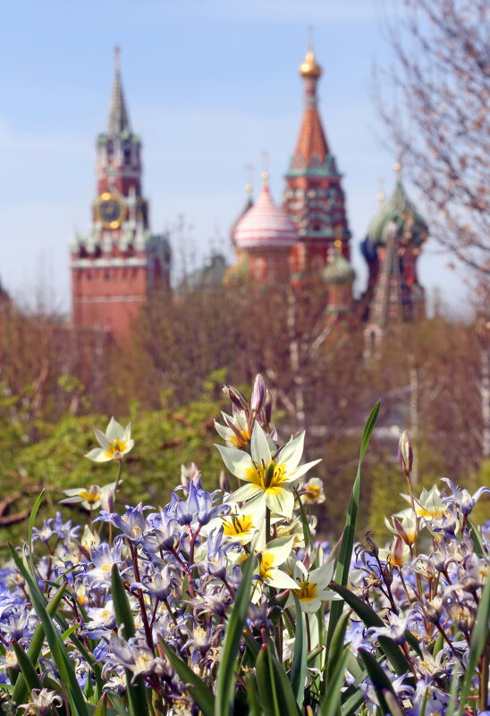 Зарядье 22 апреля - Михаил Бибичков