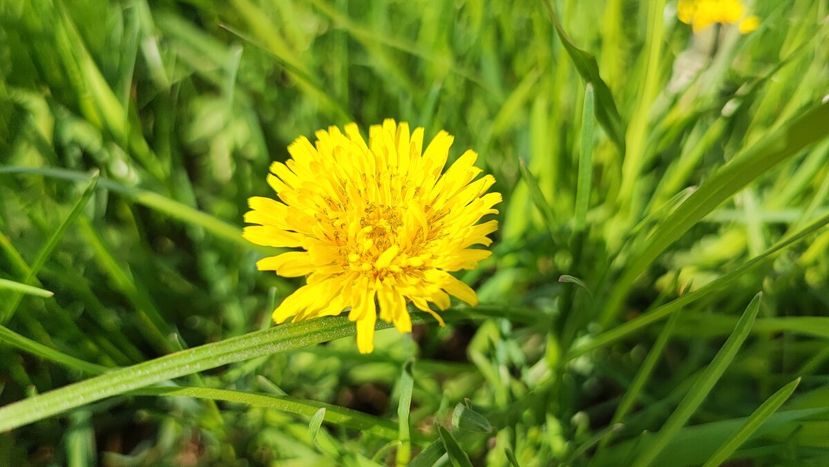 ,,, - Сергей Тимоновский