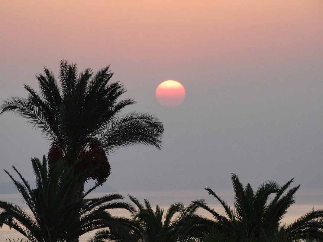 Из восходного - svk *