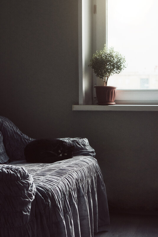 Сончас - Мария Шабурникова