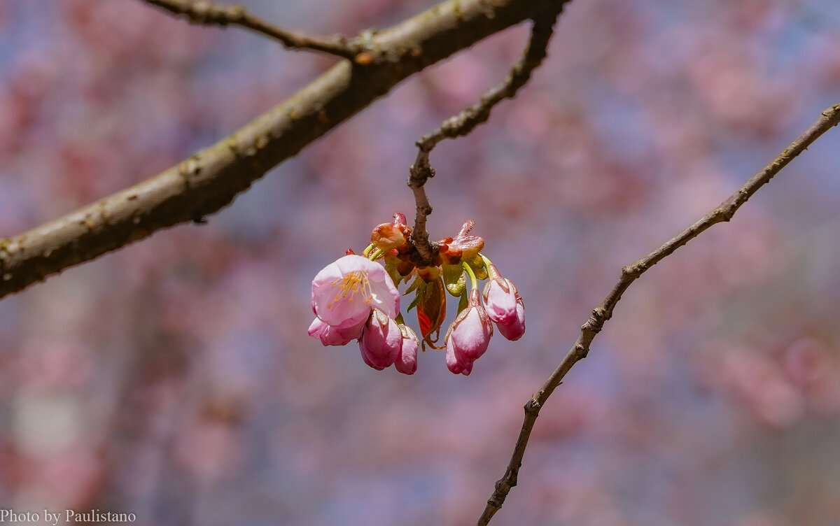 Пробуждение... - Владимир Жданов