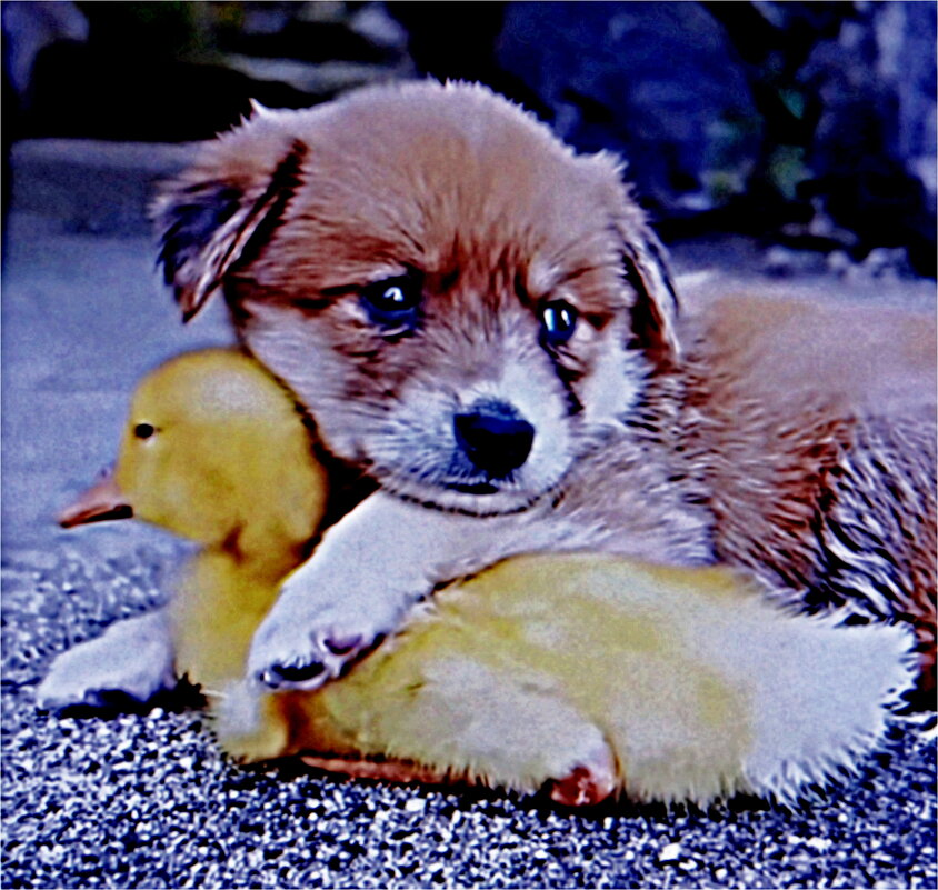 НАГЛЯДНОЕ ПОСОБИЕ - Юрий Владимирович 34