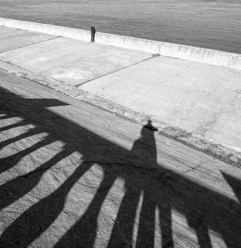 наблюдатель... - Фёдор Куракин