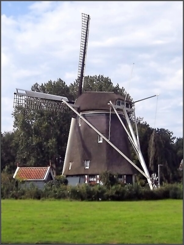 Ветряная мельница Riekermolen под  Амстердамом - Ольга Довженко