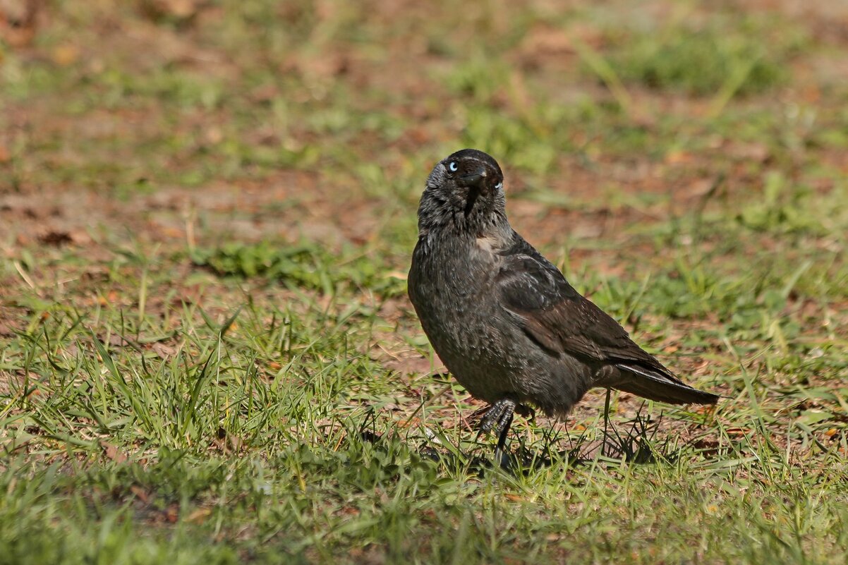 Я такая вся романтичная, такая противоречивая... - Татьяна Бравая