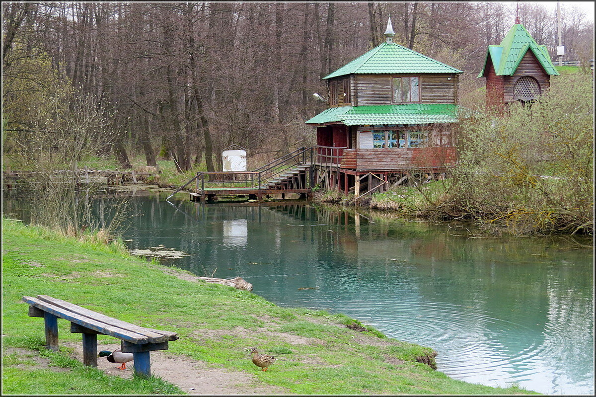 ... - Сеня Белгородский