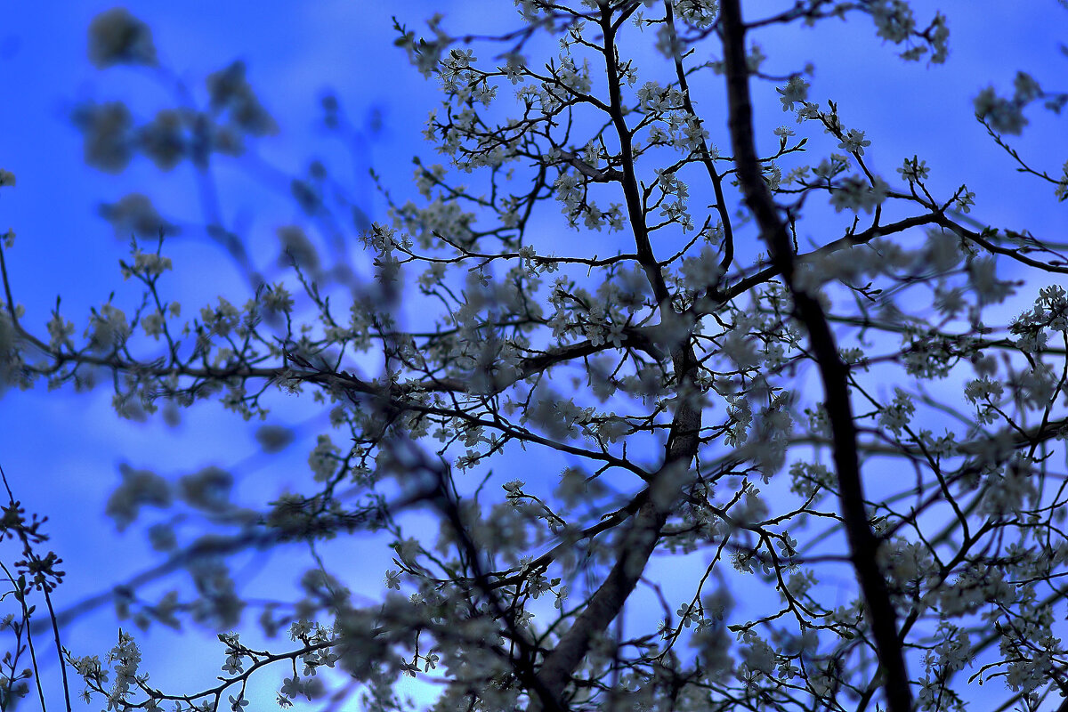 На фоне неба - Юрий Гайворонскiий