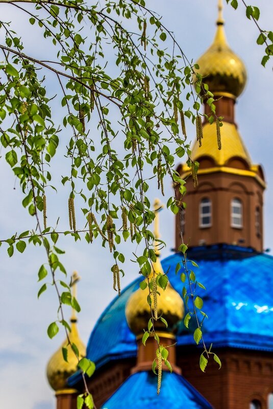 Весенние зарисовки ... - Ravile 