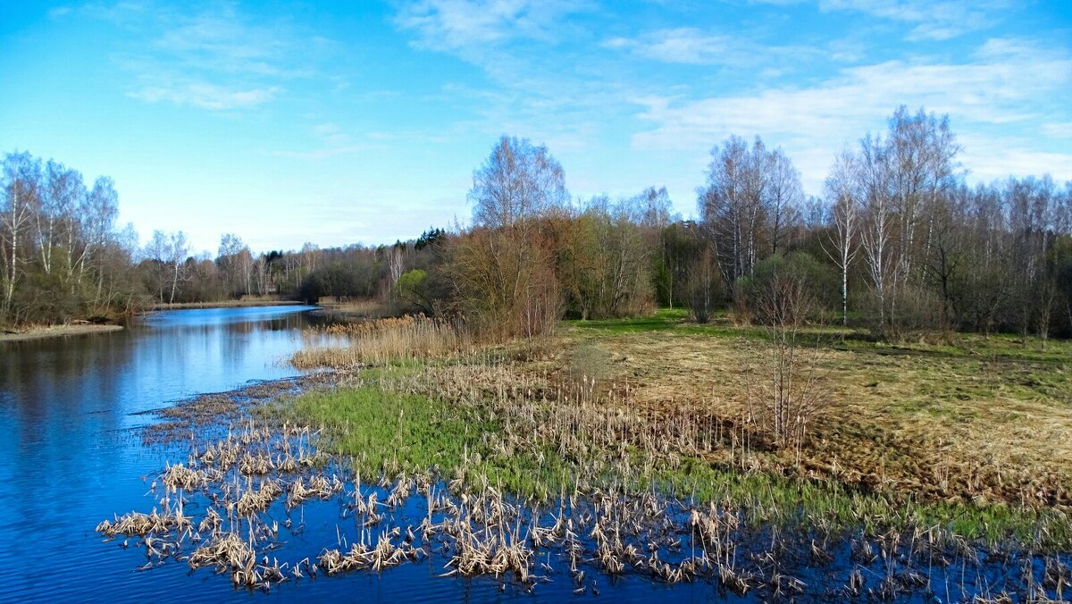 Весенний пейзаж. - Милешкин Владимир Алексеевич 