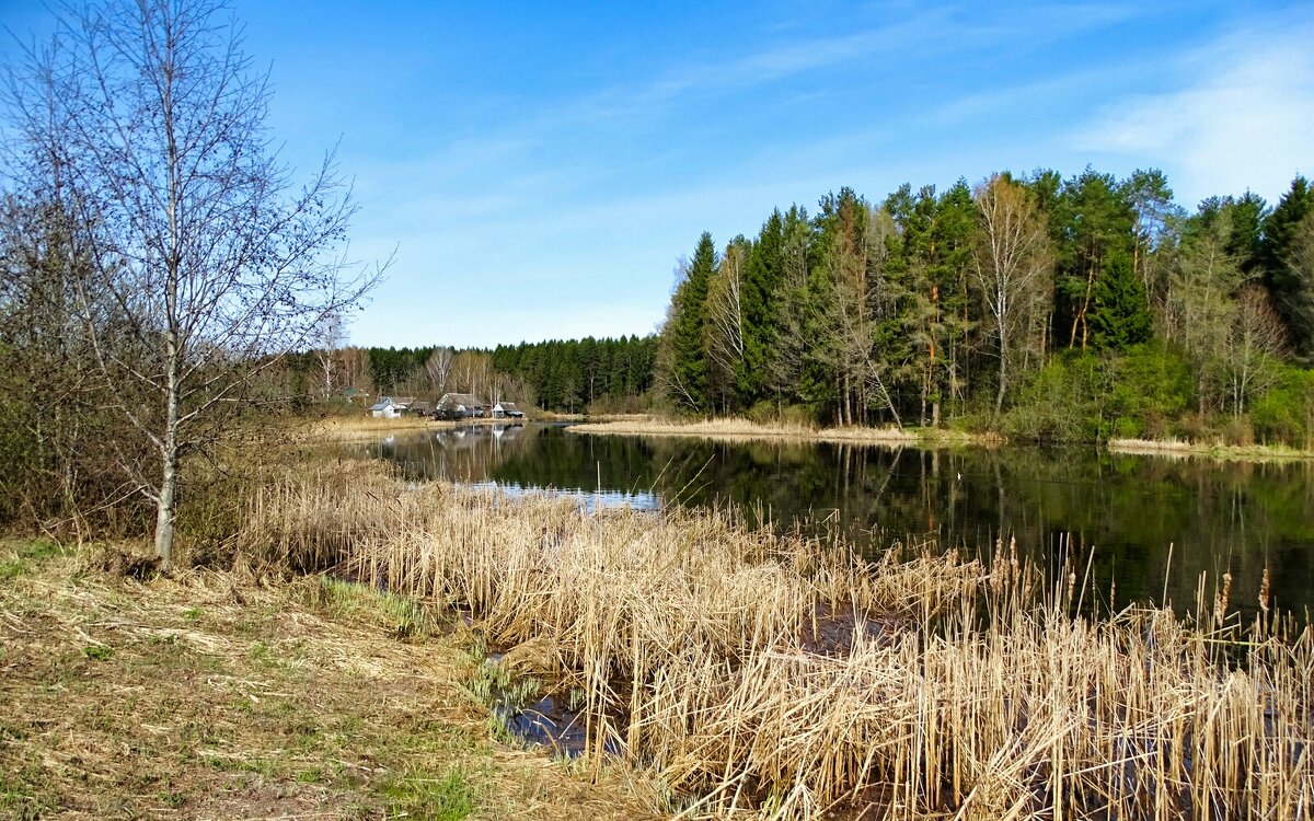 Весна в деревне. - Милешкин Владимир Алексеевич 