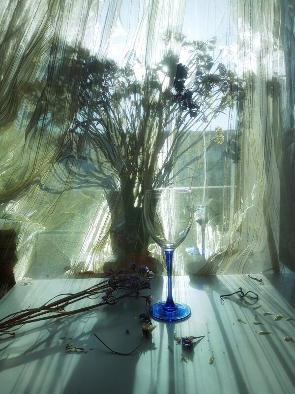 Натюрморт солнечных лучей.... - Виктор Савельев