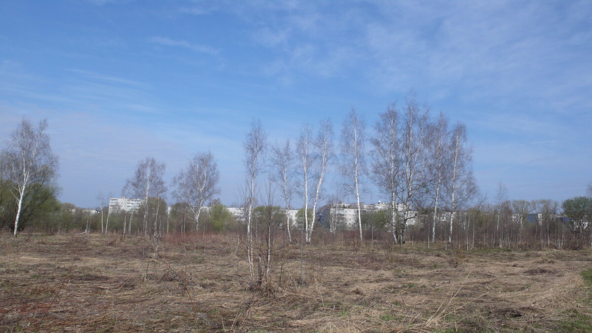 Вид на окраину городка. - Михаил Елочкин