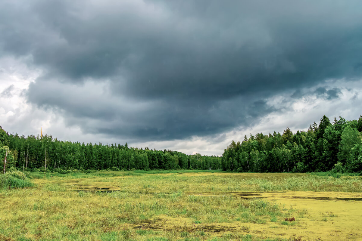 Болото - Олег Подлесных