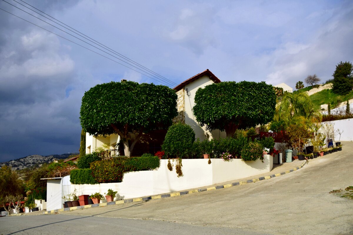 К дождю - Олег 