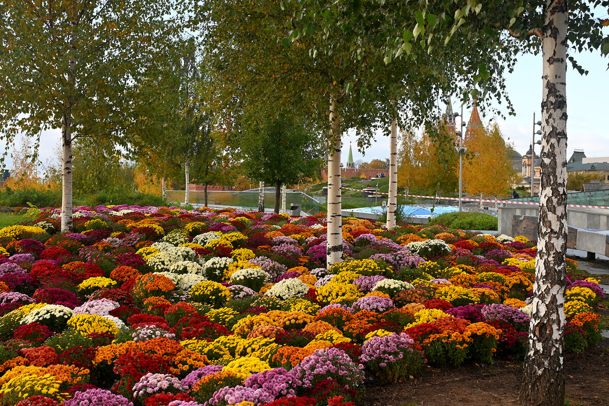 Парк Зарядье - Игорь Белоногов