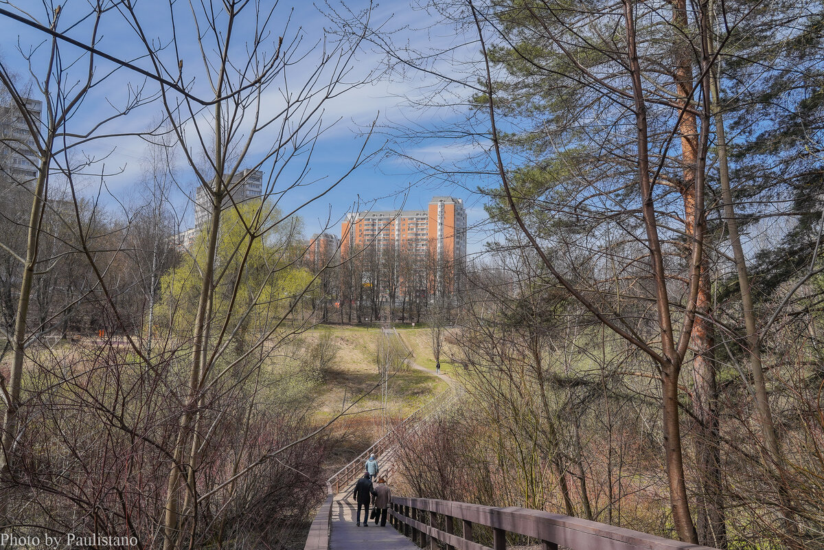 В весеннем парке... - Владимир Жданов