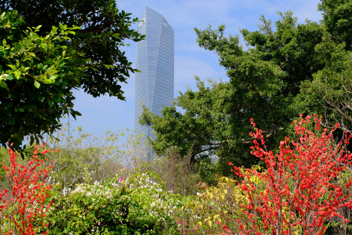 Шэньчжэнь (2) - Георгий А