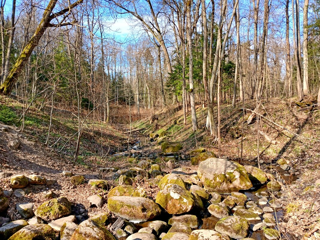 Русло высохло - дождей нет. - Лия ☼