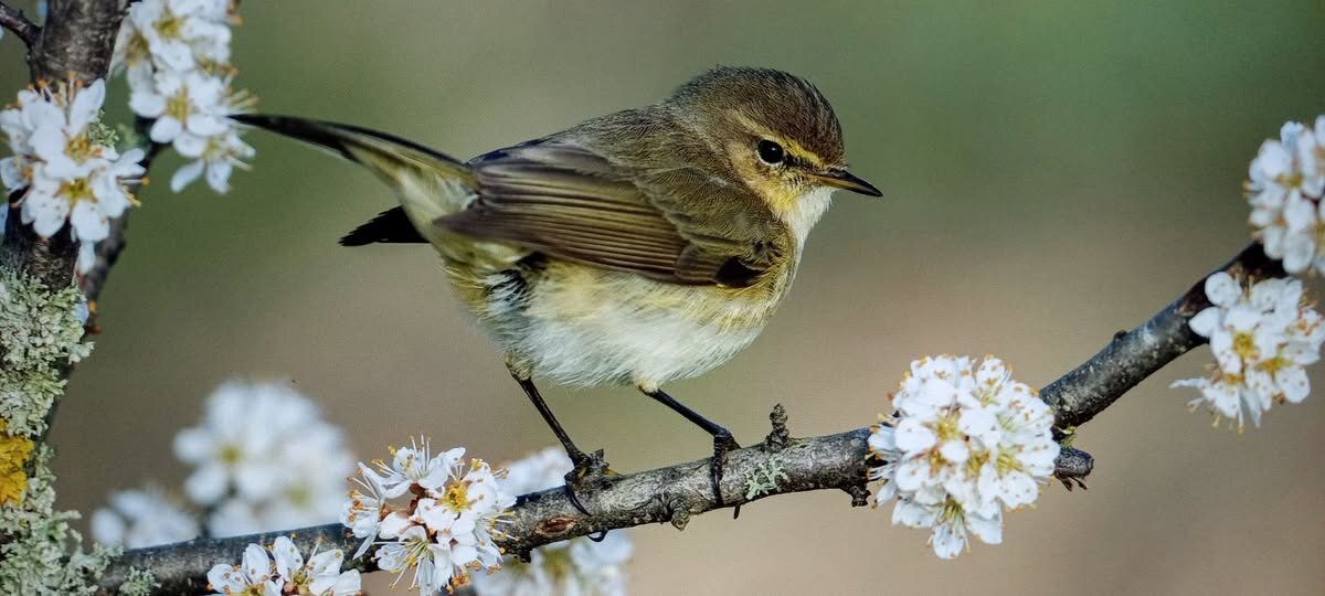 "Только прилетели..." - Валерий Кокорев
