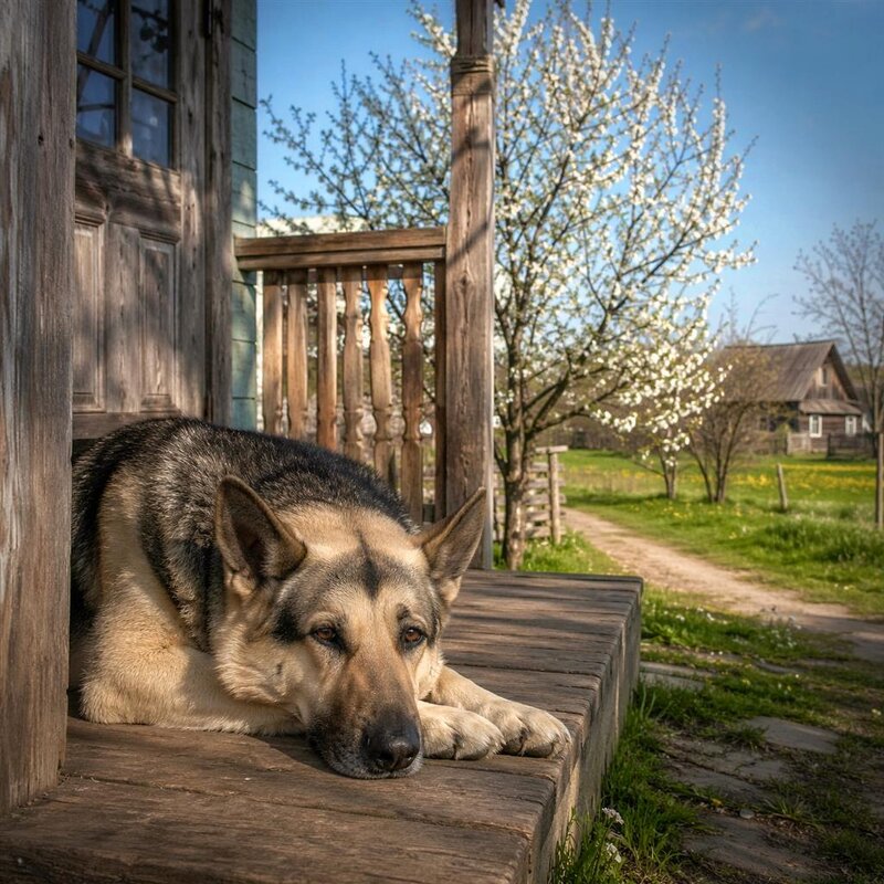 Взгрустнулось - Глeб ПЛATOB