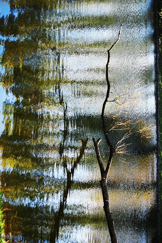 \\\\\\ - Виктор Никитенко