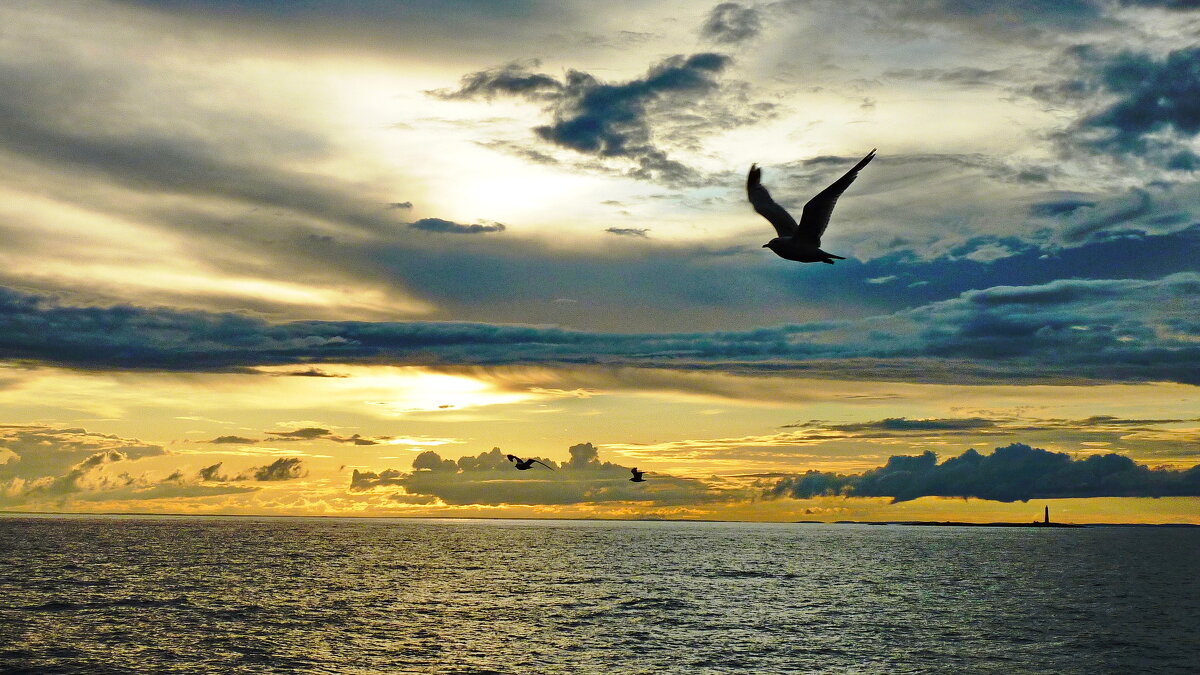 Ладога - shasha1950 